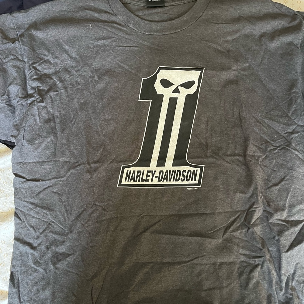Harley-Davidson Gray Men's T-Shirt willie g